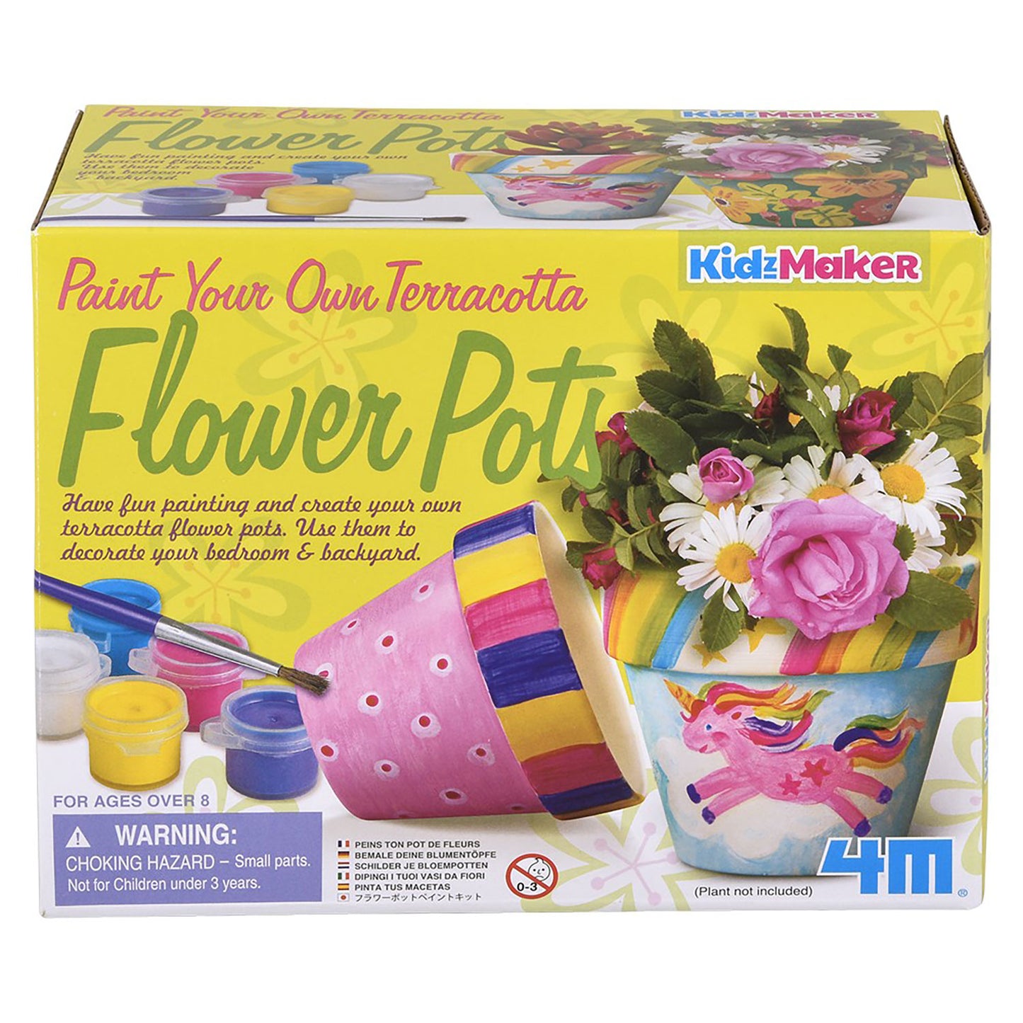 S.T.E.A.M. - Terracotta Flower Pot Kit