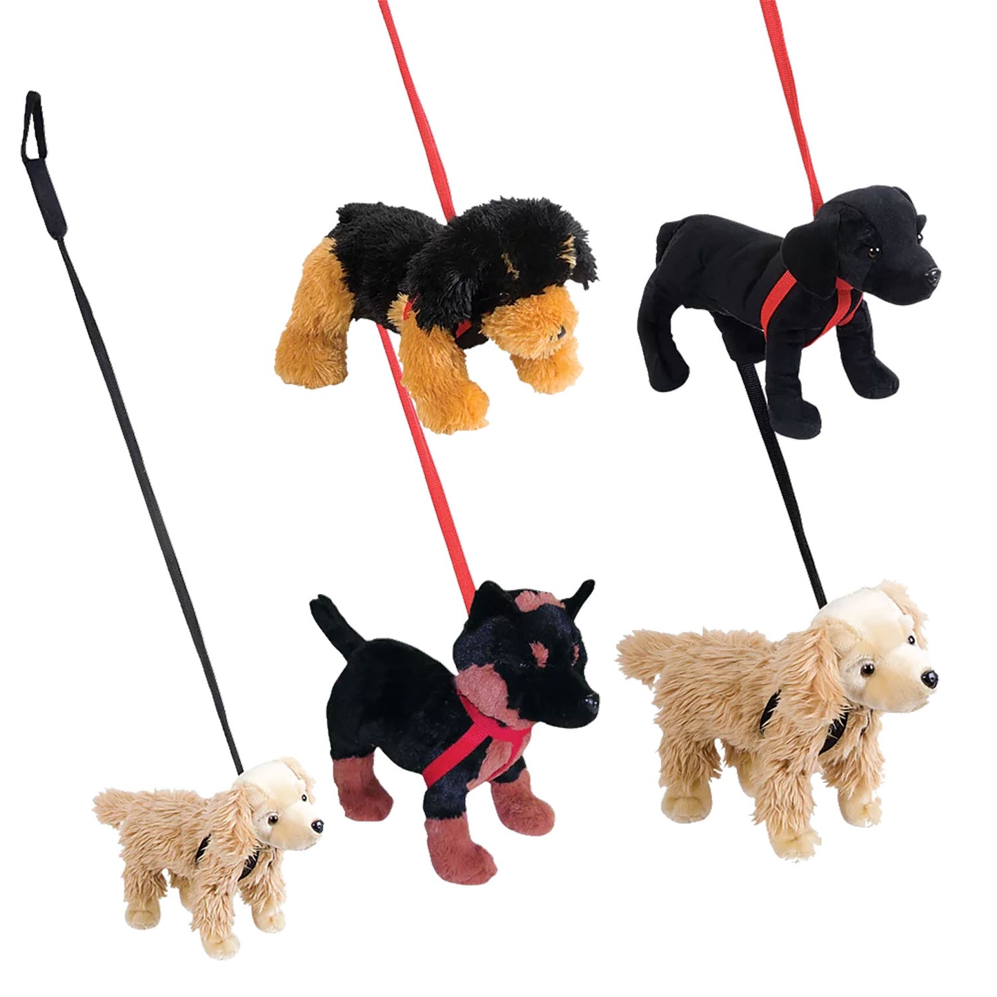 Plush Dog On A Leash - 12 Inch - Assorted Colors