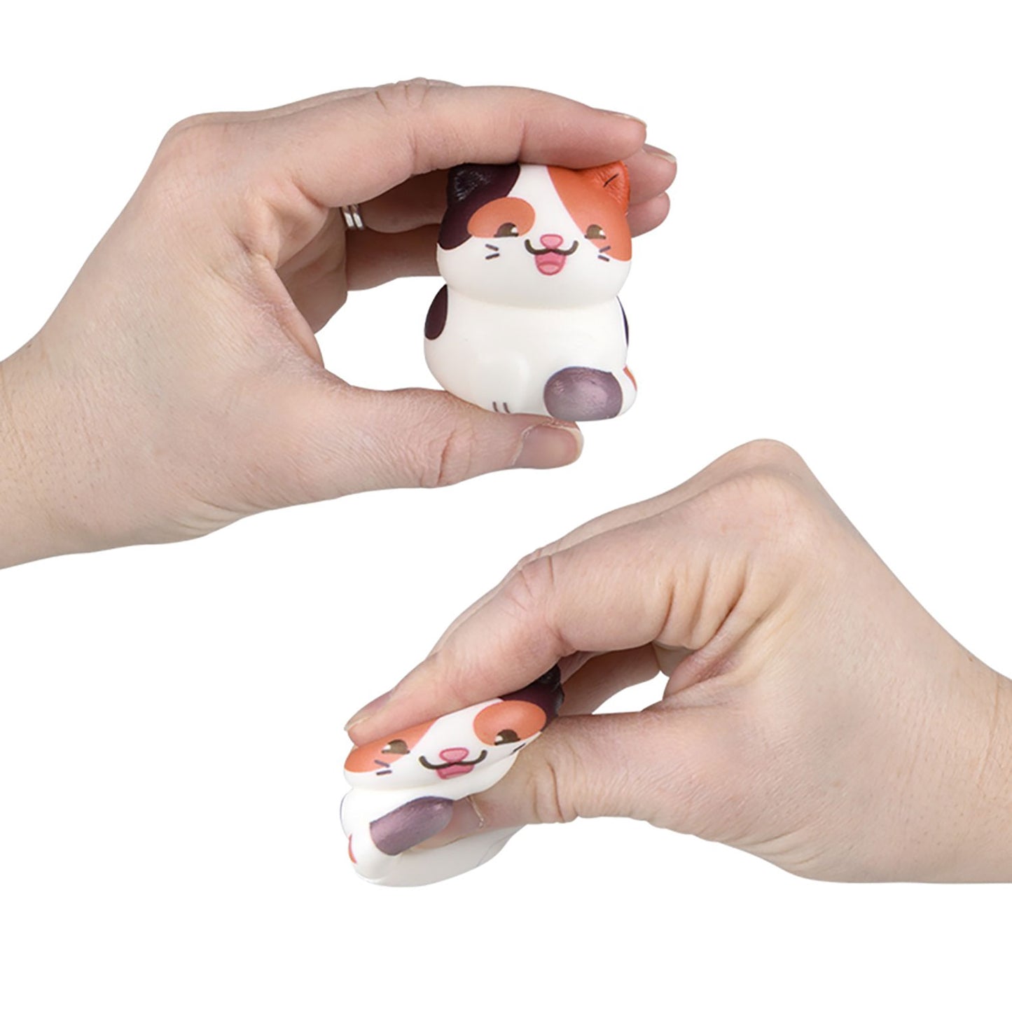 Squishy Micro Cats - 50 Count