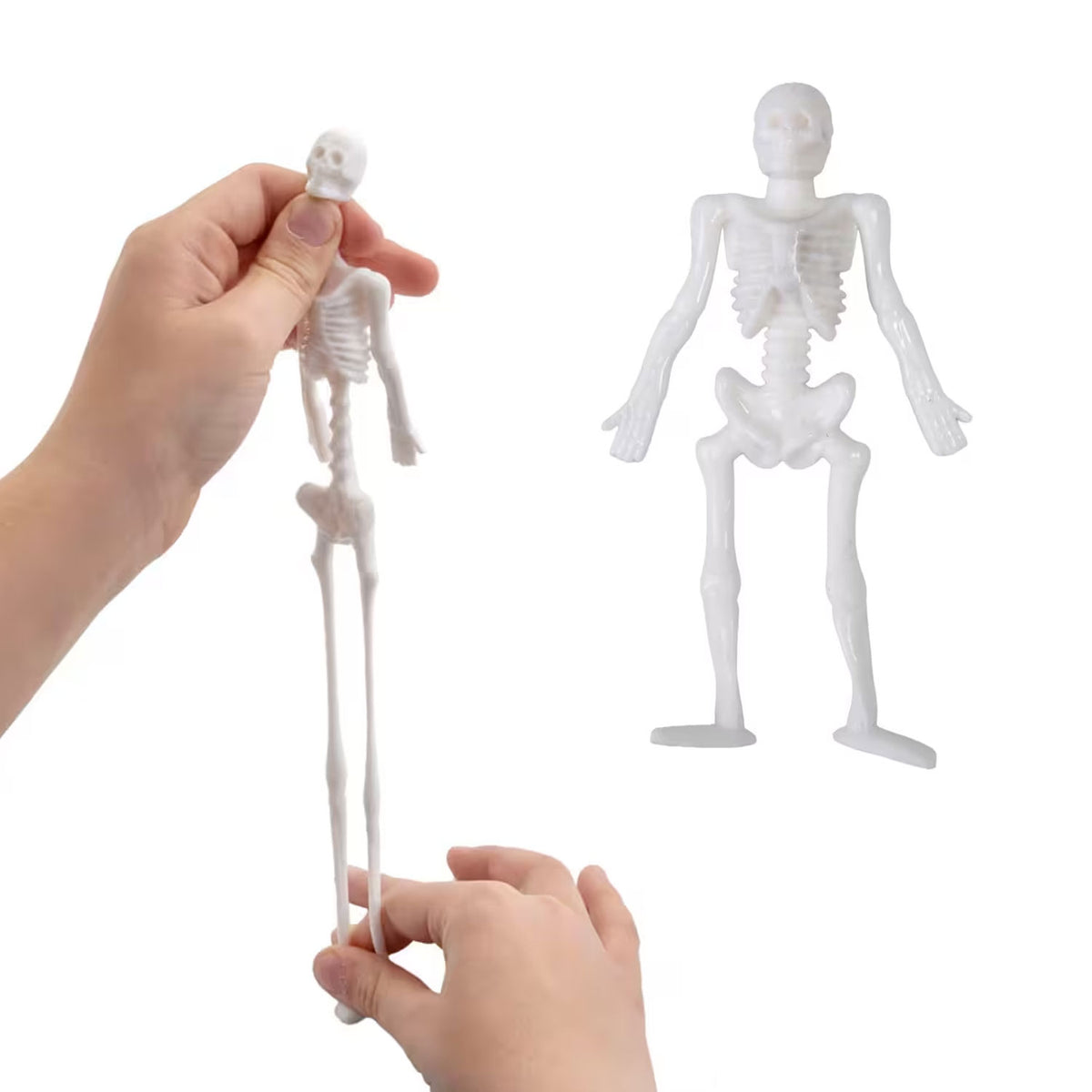 Stretchy Skeleton - 10 Count