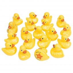 Rubber Duck Matching Game Set - 20 Piece
