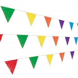 Pennant Flag Strand - Multicolored
