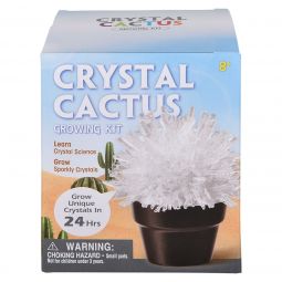 S.T.E.A.M. - Crystal Cactus Growing Kit - Assorted Colors