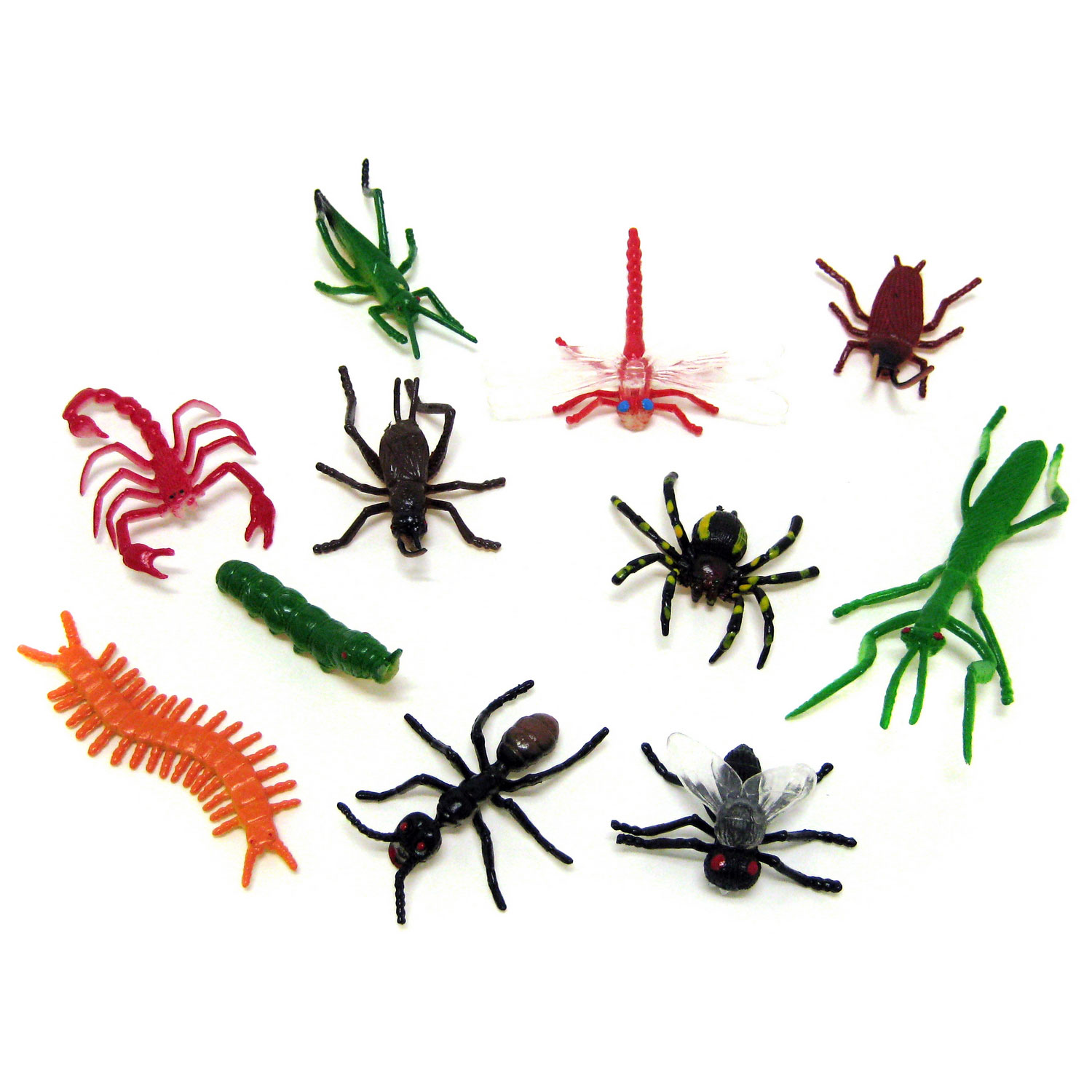 Insects - 3 Inch - 144 Count: Rebecca's Toys & Prizes